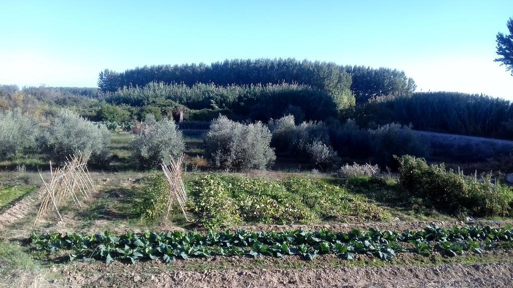 Country house Hospital Del Temple Casa Rural Boquineni